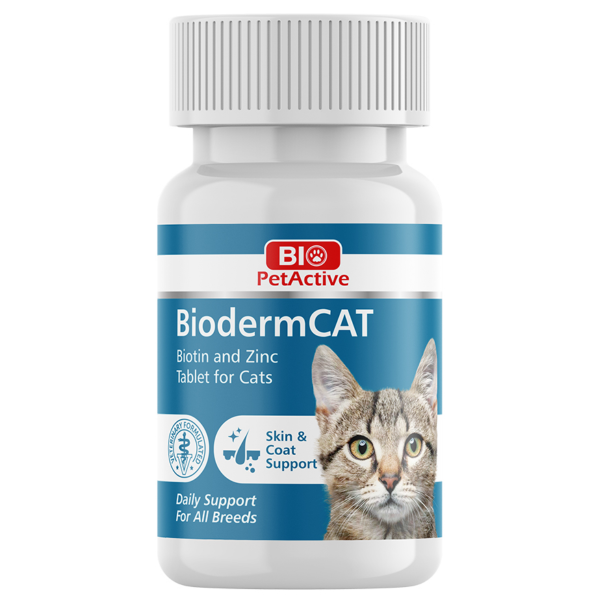 Biodermcat | Kediler Için Biotin Ve Çinko Tableti 100 Tablet