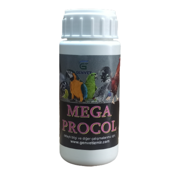 MEGA PROCOL - Alt sindirim desteği